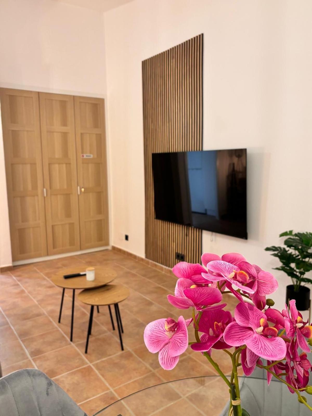 Apartment Seghers Playa Y Sol *